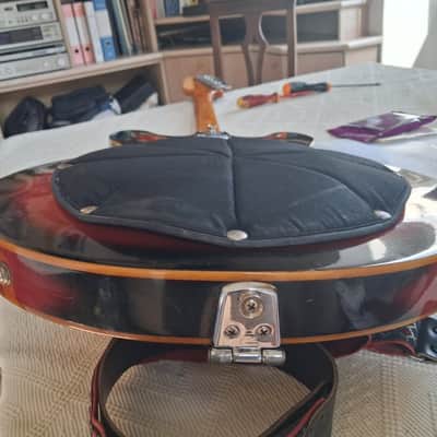 Vox Ultrasonic 1967 - sunburst image 21