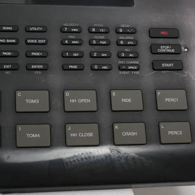 YAMAHA RY30 image 19