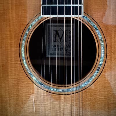 Morgan 12 String Left Handed Jumbo image 3