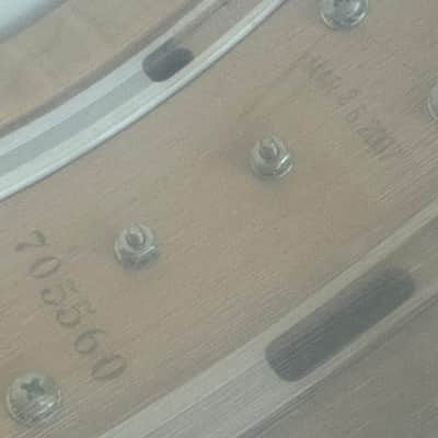 6.5”x14” DW Exotic May EQ Snare - Acoustic Equalizer image 11