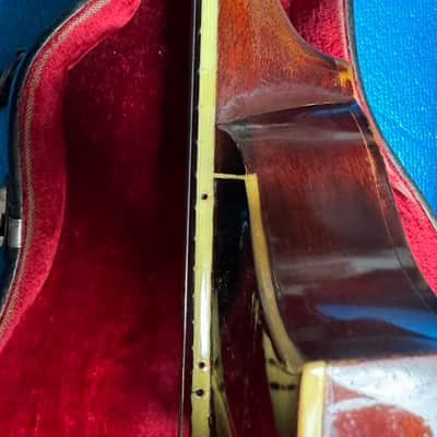 Gibson F-2 1918-1920's - Sunburst #SR-11-24 image 15