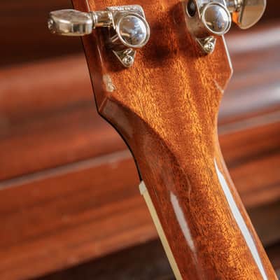 Gibson Les Paul Standard 60s 2023 - Translucent Oxblood image 13