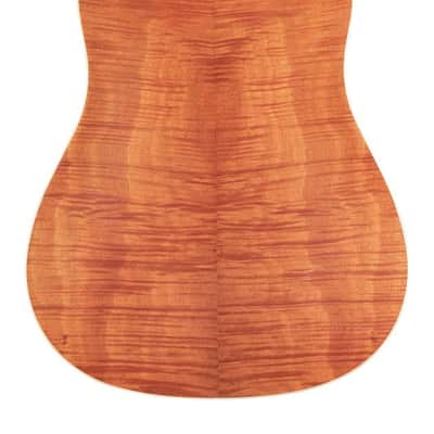 Guild D-240E Limited Flamed Mahogany image 2