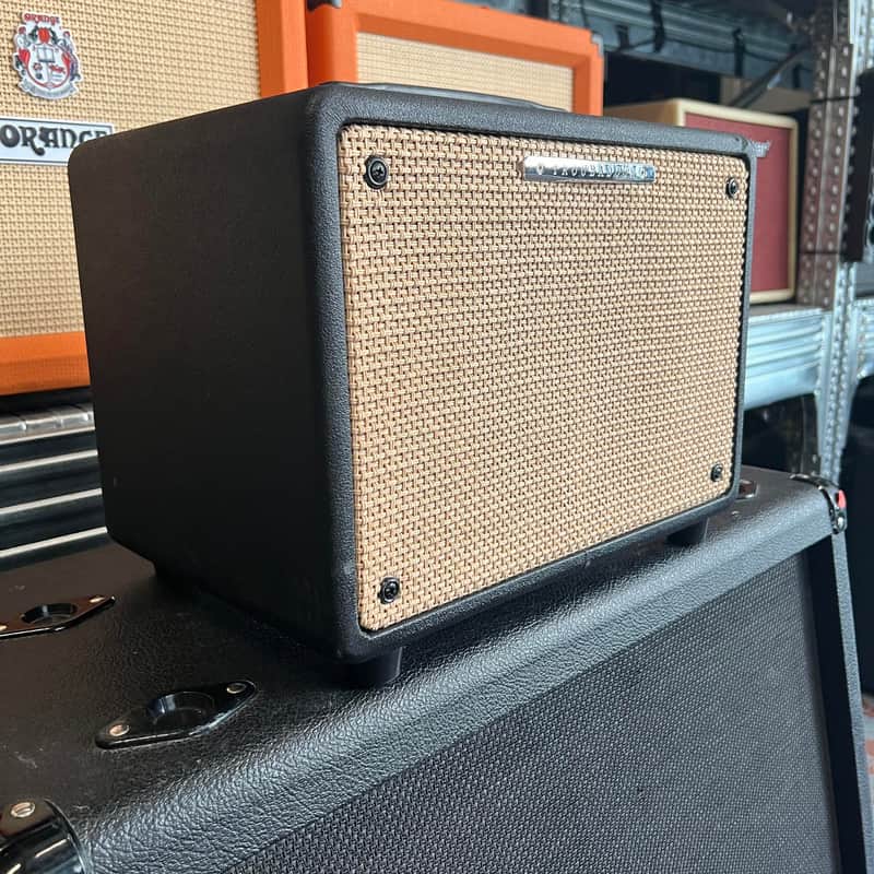 Ibanez T30 U Troubadour Acoustic Amp image 1