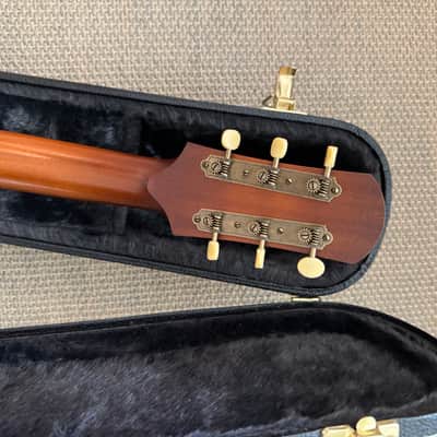Iris acoustic guitar CH 2023 - Sunburst image 4