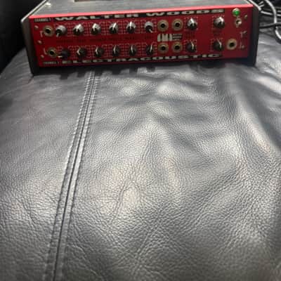 Walter Woods electric acoustic BASS amp green light image 3