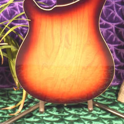 Italia Rimini 4 string BASS sunburst image 4
