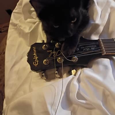 Epiphone Les Paul Standard Plus Top PRO 2012 - 2019 - Translucent Blue image 3