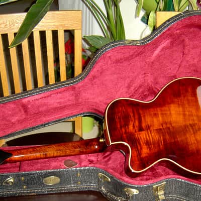 Archtop Short Scale image 4