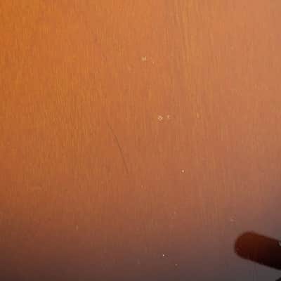 Guild S60-SP image 17