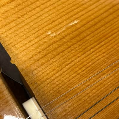 Trinity College TM-325 Mandolin image 22