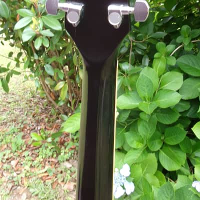 Rare 1970s Gemson GJ-400DX (Terada Gakki) - "Everly Style" Jumbo Acoustic - MIJ Japan Vintage + Gig Bag image 10