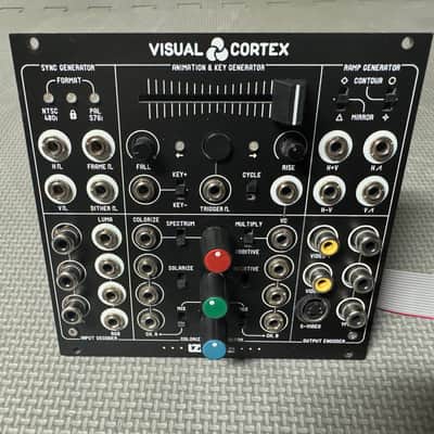 LZX Industries Visual Cortex Eurorack Synthesizer Module 2010s - Black image 1