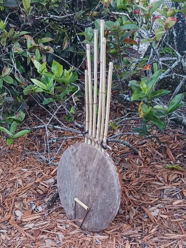African-style pluriarc (compound musical bow): large image 1
