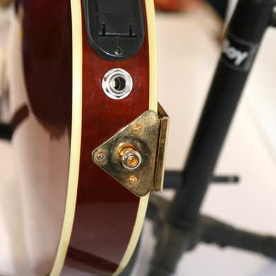 Michael Kelly Dragonfly Custom II Limited Edition Electric Mandolin LH W/Case image 14