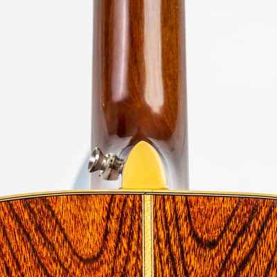 Daion MUGEN Mark III - Six String Acoustic image 9