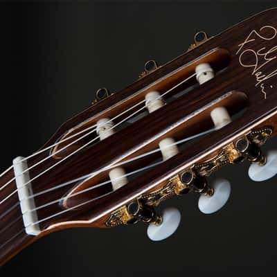 Godin Etude Classical in Natural image 8