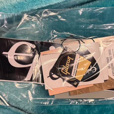 Epiphone Jimi Hendrix "Love Drops" Flying V Ebony (358) image 8
