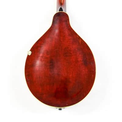 Gibson A-3 Mandolin 1919 - Ivory image 13
