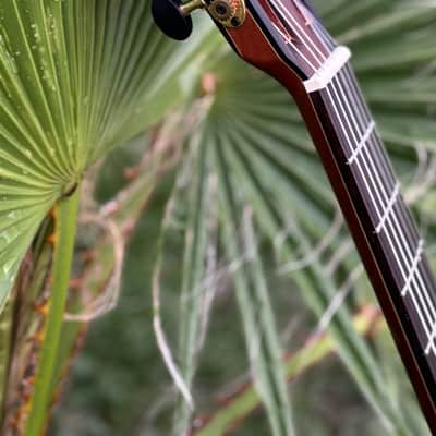 Wenceslao guitars BZR Nylon 2025 - Laca Nitrocelulosa image 8