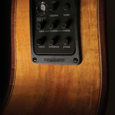 Washburn G66SCE Comfort Deluxe 66 Auditorium Cutaway Acoustic Electic Guitar. Spalted Maple Item ID: WCG66SCE-O-U image 3