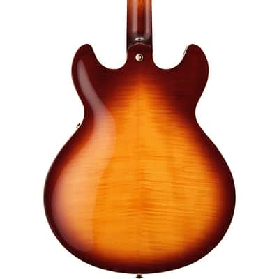 Yamaha SA2200 Semi-Hollowbody Electric Guitar, Sycamore Top; Violin Sunburst image 3