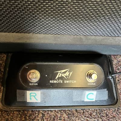 TA60-CR 60 Watt Acoustic Guitar Amp w/ Footswitch image 6
