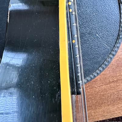 Gibson A40 1958-62 - Sunburst image 11