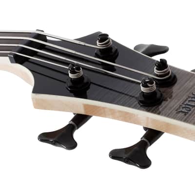 Schecter SLS Elite-4 Black Fade Burst image 11