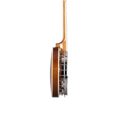 Epiphone Mastertone Classic 5 String Banjo Natural with Gig Bag image 5