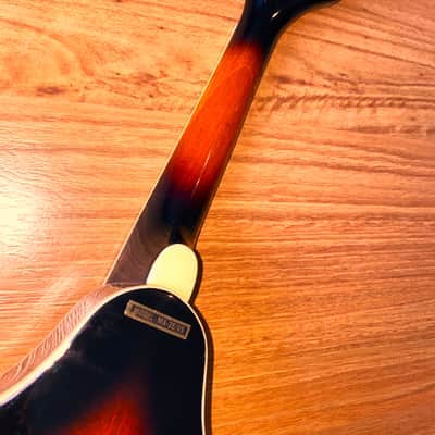 Mandolin 8 String Stunning Vintage Sunburst by Samick Greg Bennett WITH Pickup! image 12