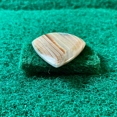 Seashell guitar pick/4.7mm thick, jazz profile… by BeachSidePicks image 4