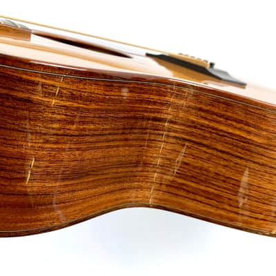 Taylor 716CE Natural 2010 image 12