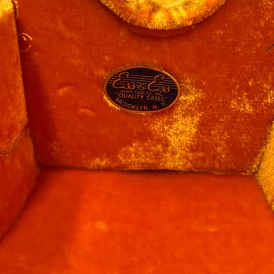 Ess & Ess Archtop Guitar Case image 7