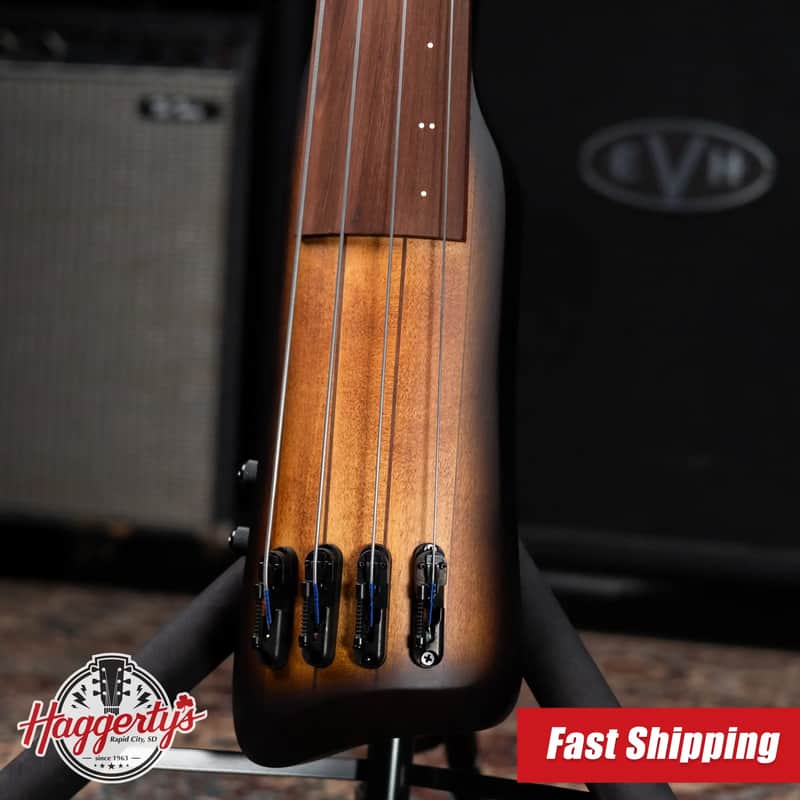 Ibanez Bass Workshop UB804 4-String Electric Upright Bass - | Reverb