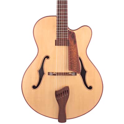 Buscarino 25th Anniversary Virtuoso Archtop Guitar image 1