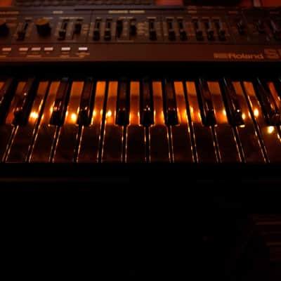 Roland SH-101  black & gold custom by ghostinmpc image 17
