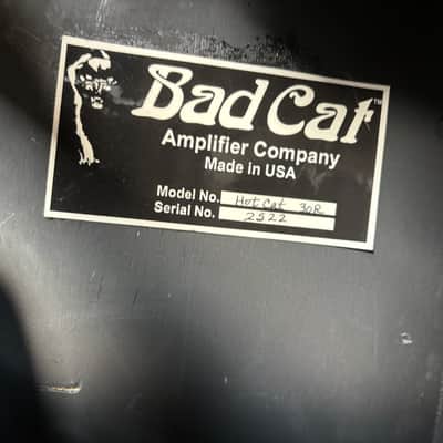 Bad Cat Hot Cat 30R 30-Watt 1x12" Guitar Combo with Reverb January 2005 image 3