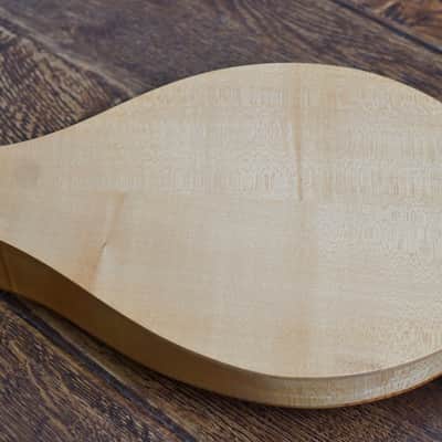 Renaissance Cittern image 13