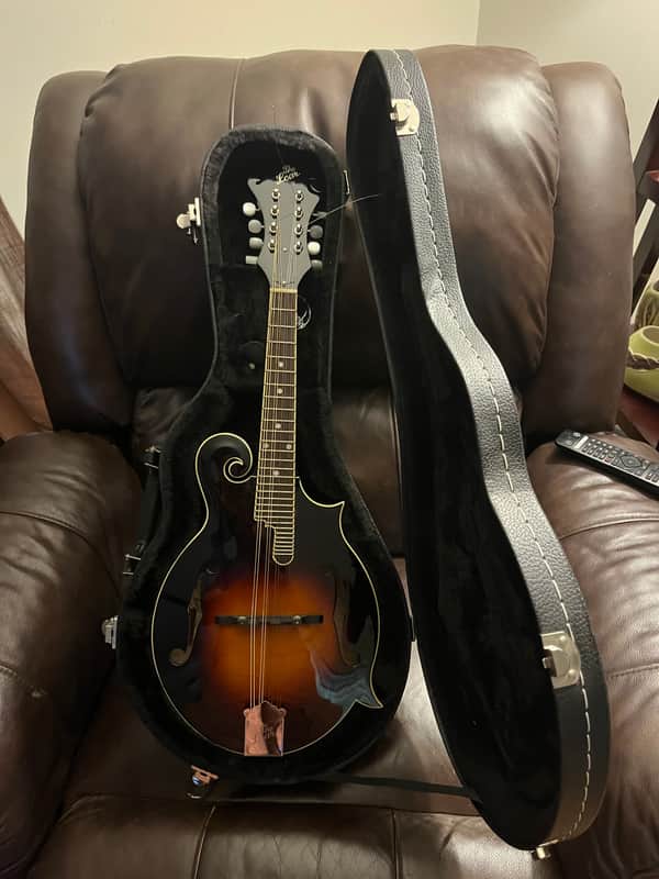 The Loar LM-520-VS - Gloss Bild 1