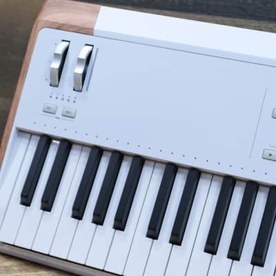 Arturia AstroLab 61 Avant-Garde Stage Keyboard 61-Note Semi-Weighted Keyboard image 11