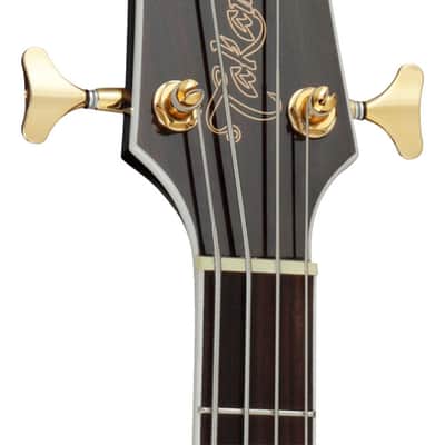 GB72CE-BSB Takamine image 4