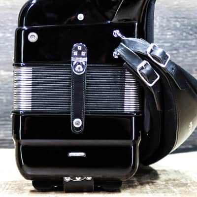 Dino Baffetti Professional IV Double Octave 41-Key 120-Bass Piano Accordion image 4