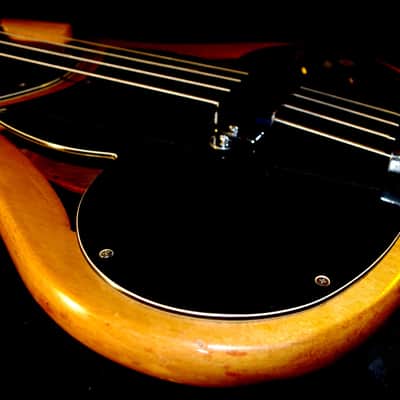 AMPEG ASB1 1966 Natural. The DEVIL BASS. Extremely Rare & Collectible. Pure Art. image 7