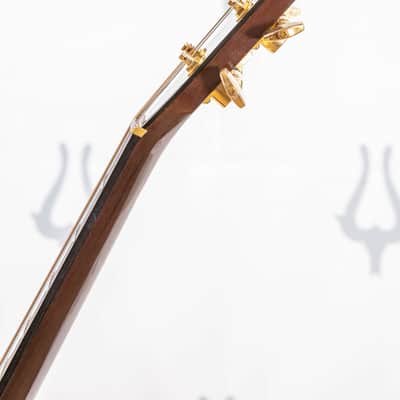 Daion Year Series '79 Brown Acoustic Six String image 19