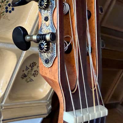 APC Instruments Luthier Gold CW ALL SOLID classical guitar with Cutaway und Fishman Pickup image 11