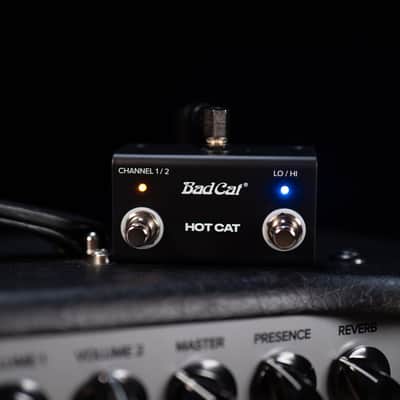 Bad Cat Mod Shop Hot Cat 1x12 50W 2-Channel Tube Combo Amp image 5