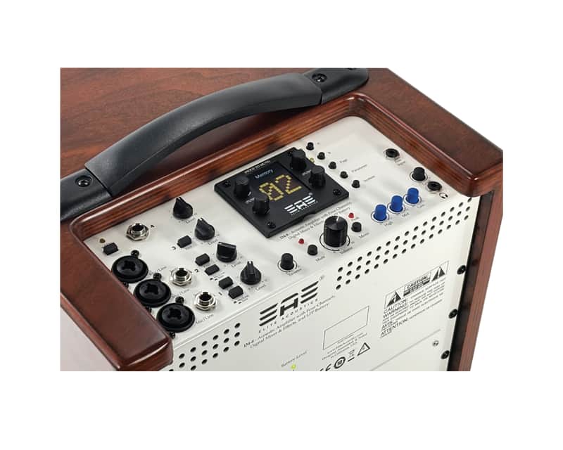 Elite Acoustics EAE D4-8 Rechargeable Acoustic Amp with 4 Channel Digital Mixer/LFP Battery - Wood image 1