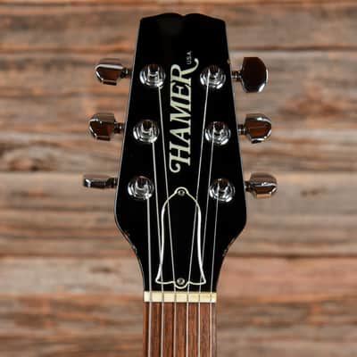 Hamer Prototype Black 1981 image 6