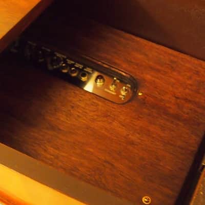 Private Stock Amplifiers, Farnsworth Art Deco Museum Quality image 4